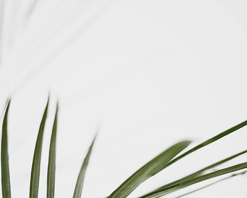 ShopPing 1.6.0.7 new version released! ! !